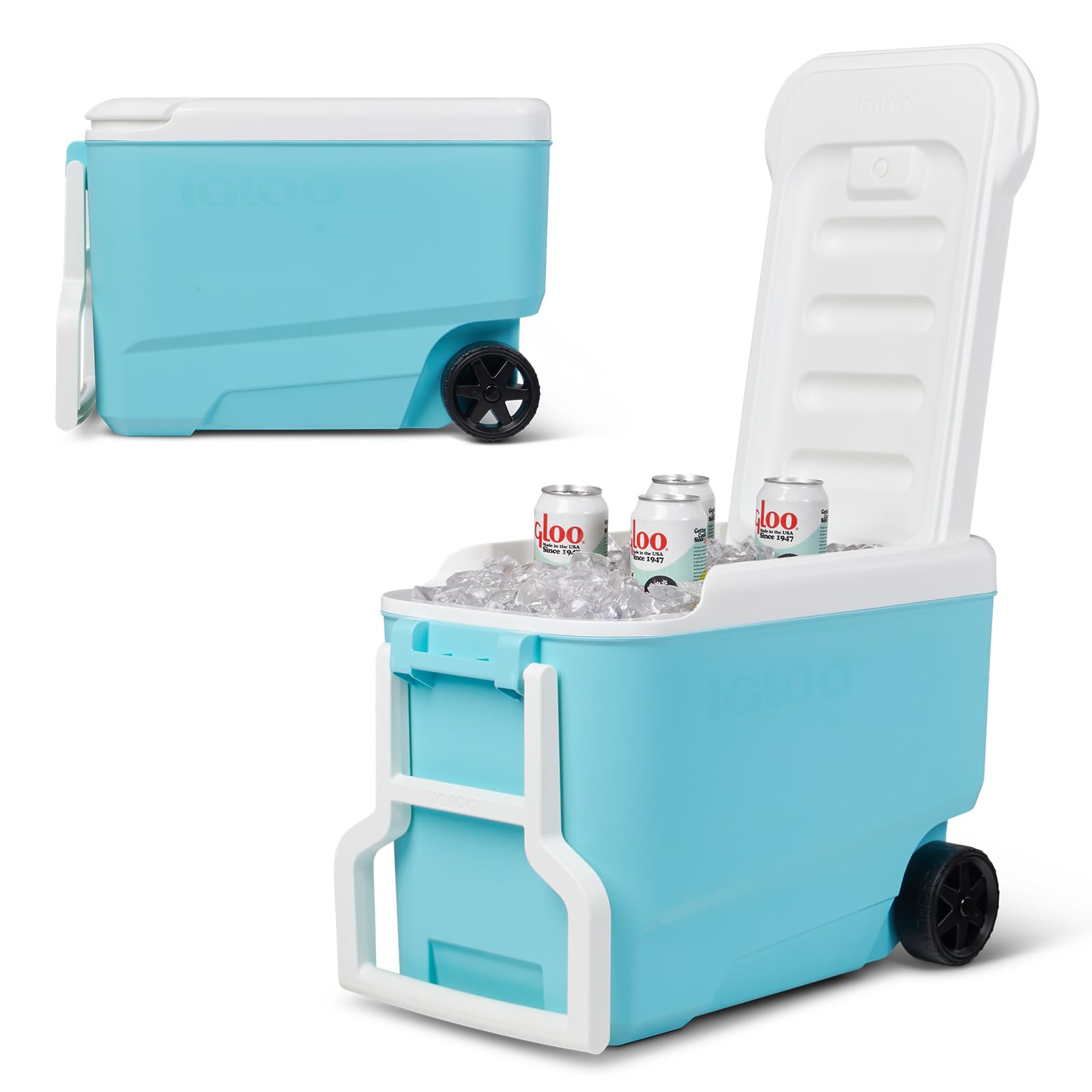 Amazon | IGLOO WHEELIE COOL 38 38QT 約36L 正規販売店 アメリカ製